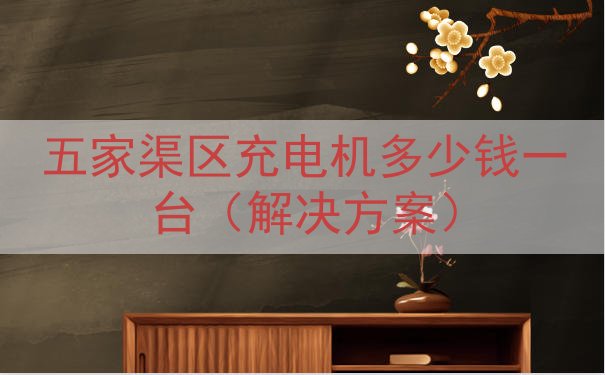 五家渠区充电机多少钱一台（解决方案）